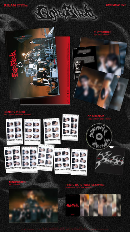 &TEAM [Japanese Album] [Go in Blind] (Limited Edition)
